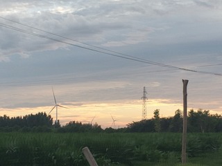 11906