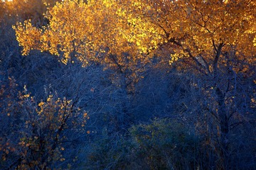 IMG_20000 (248)a