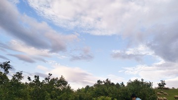 260028