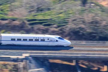 81023