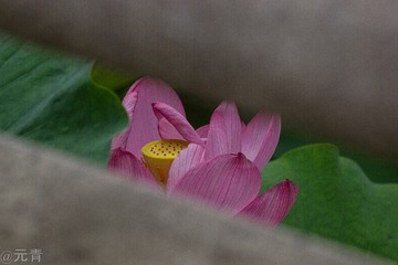 110120