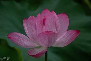 110165