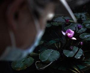 DP2Q0430