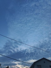 1000687843