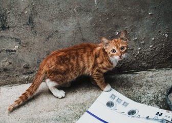001