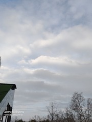 1000024516