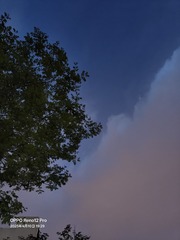 1000026424