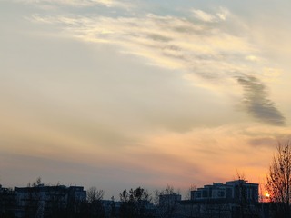 1000023297