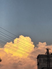 1000022042