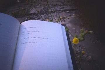 95023