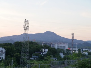 1000019767