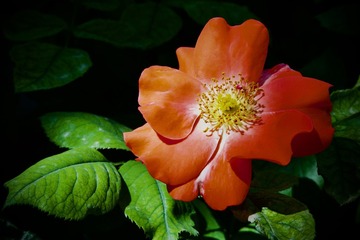 001
