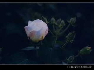 DSCF0584.jpg