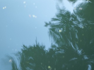 1000003301