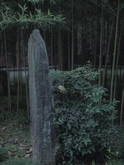 1000010808