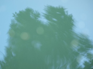 1000003292