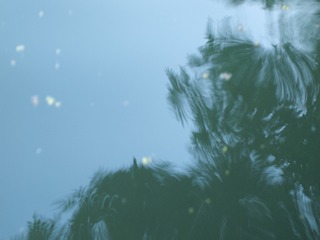 1000003296