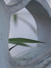1000010809