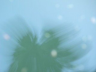 1000003288