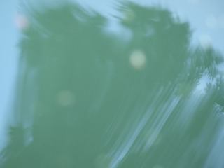 1000003289