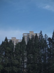 107462