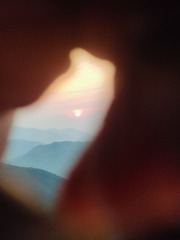 1000060891