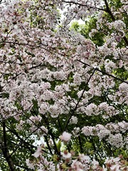 68C057C8-A099-403C-A114-CA20E947A409/L0/001