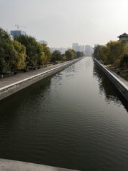 7748