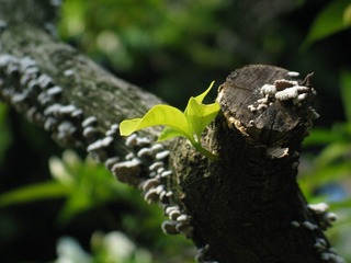 IMG_0088.JPG
