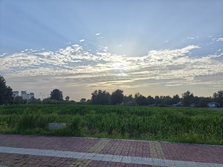 1000008107