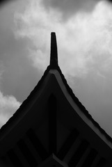 1000013161