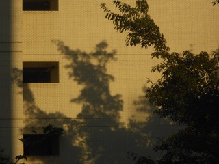 156617