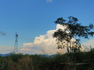 1000051424