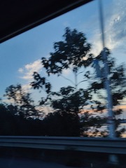 1000050841