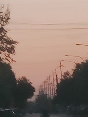 1000024274