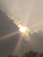 1000022428
