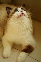001