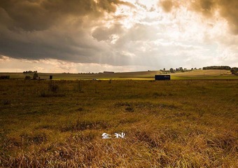 DSC_3411 副本.jpg