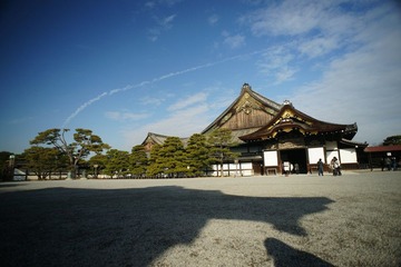 二条城 (9).JPG