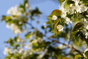 DSC03393.JPG
