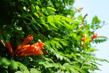 DSC04015.JPG