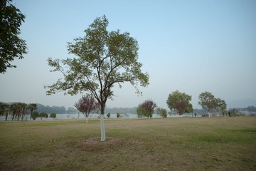 DSC07638-2