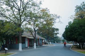 DSC07689-3