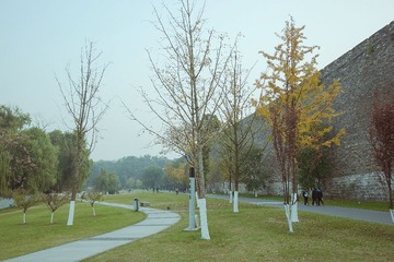 DSC07643-2