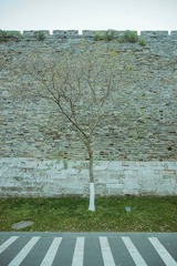DSC07646-2