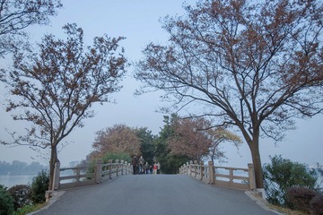 DSC07661-2