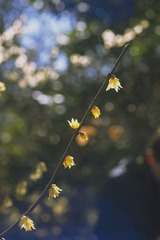 DSC09155+1