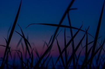 1000042171
