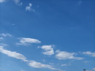 1000012893