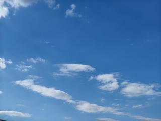 1000012894